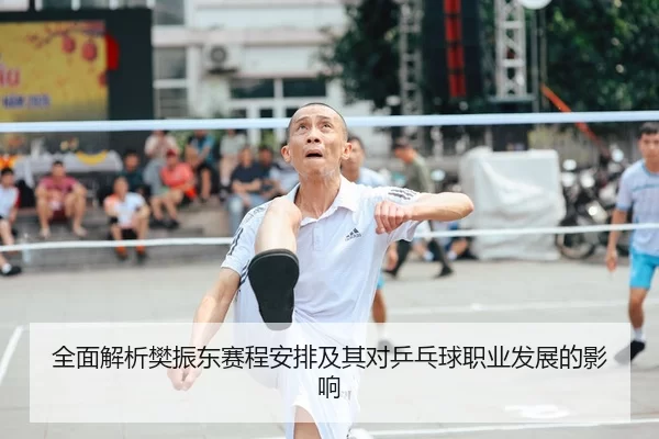 全面解析樊振东赛程安排及其对乒乓球职业发展的影响